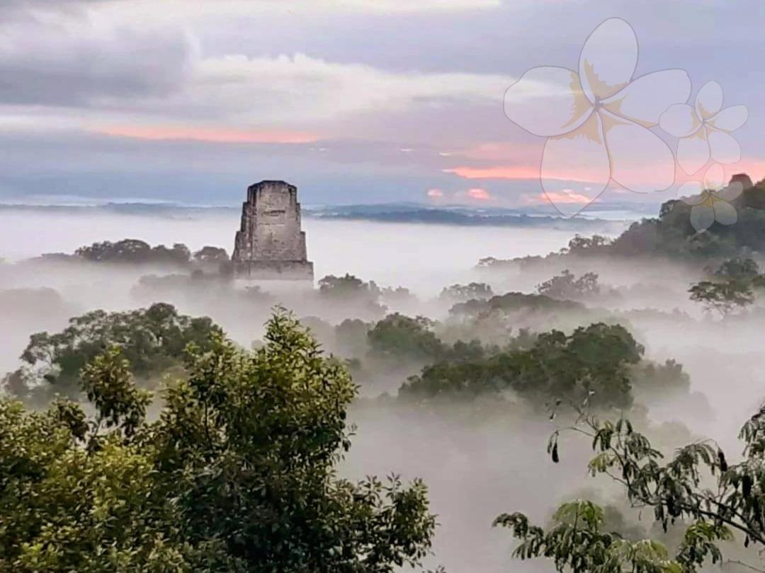 Amina Inn Flores Kültér fotó